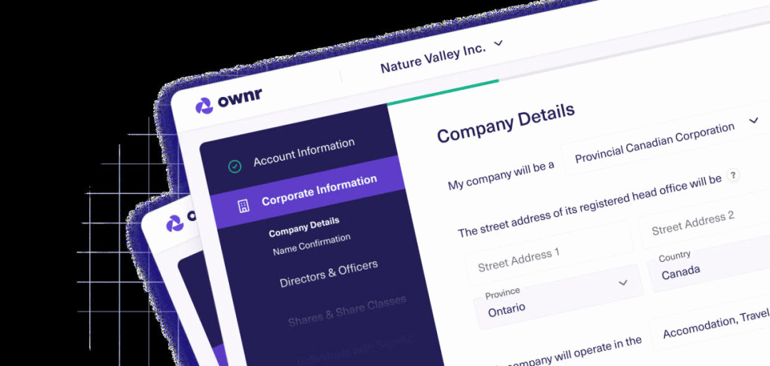 Understanding Digital Business Incorporation Platforms: An In-Depth Look at Ownr